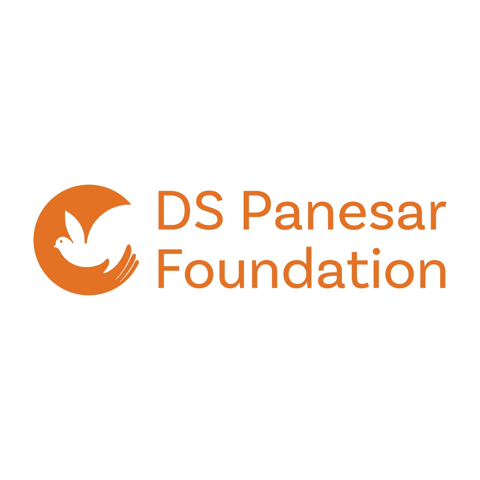 DS Foundation Logo